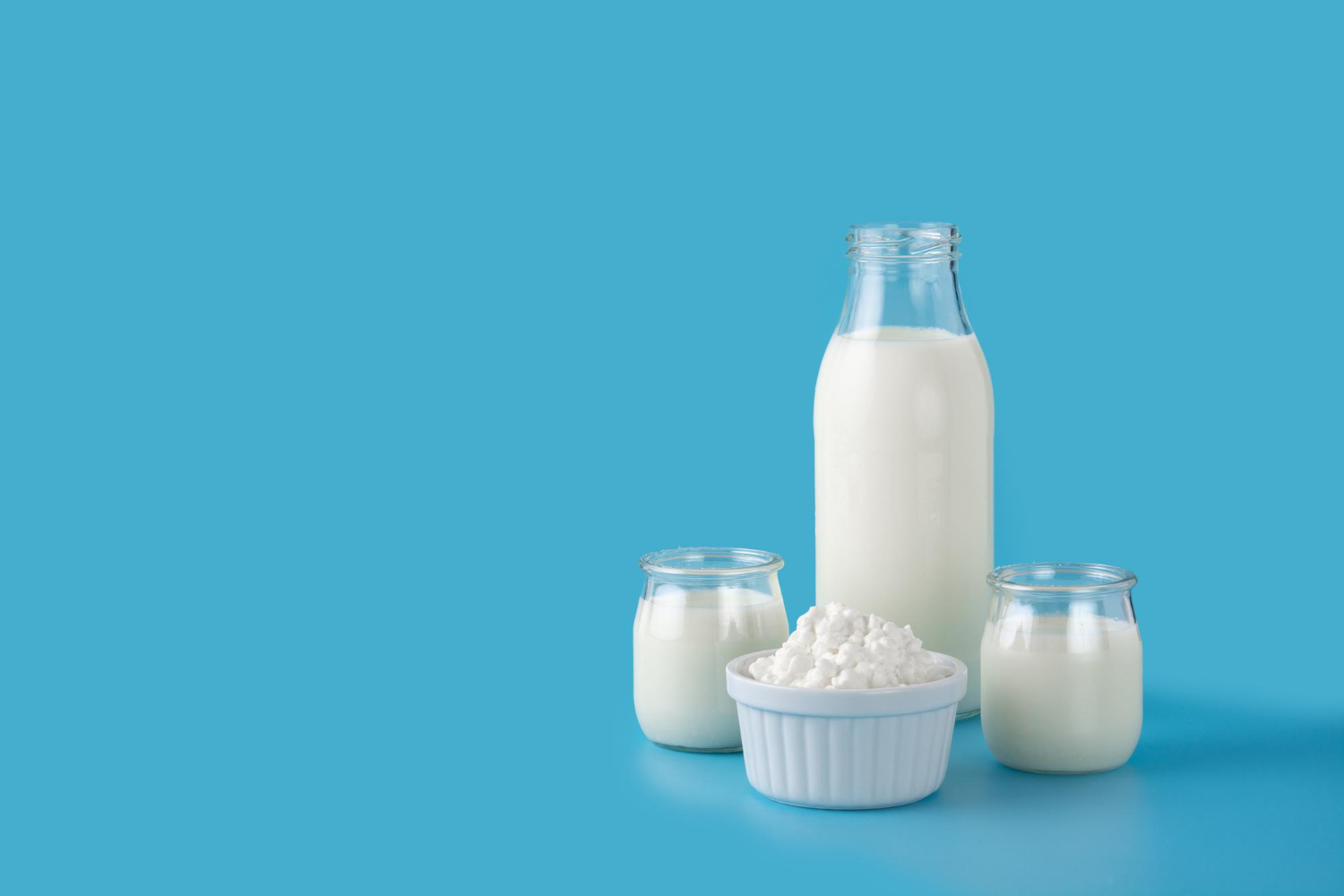 Dairy Ingredients